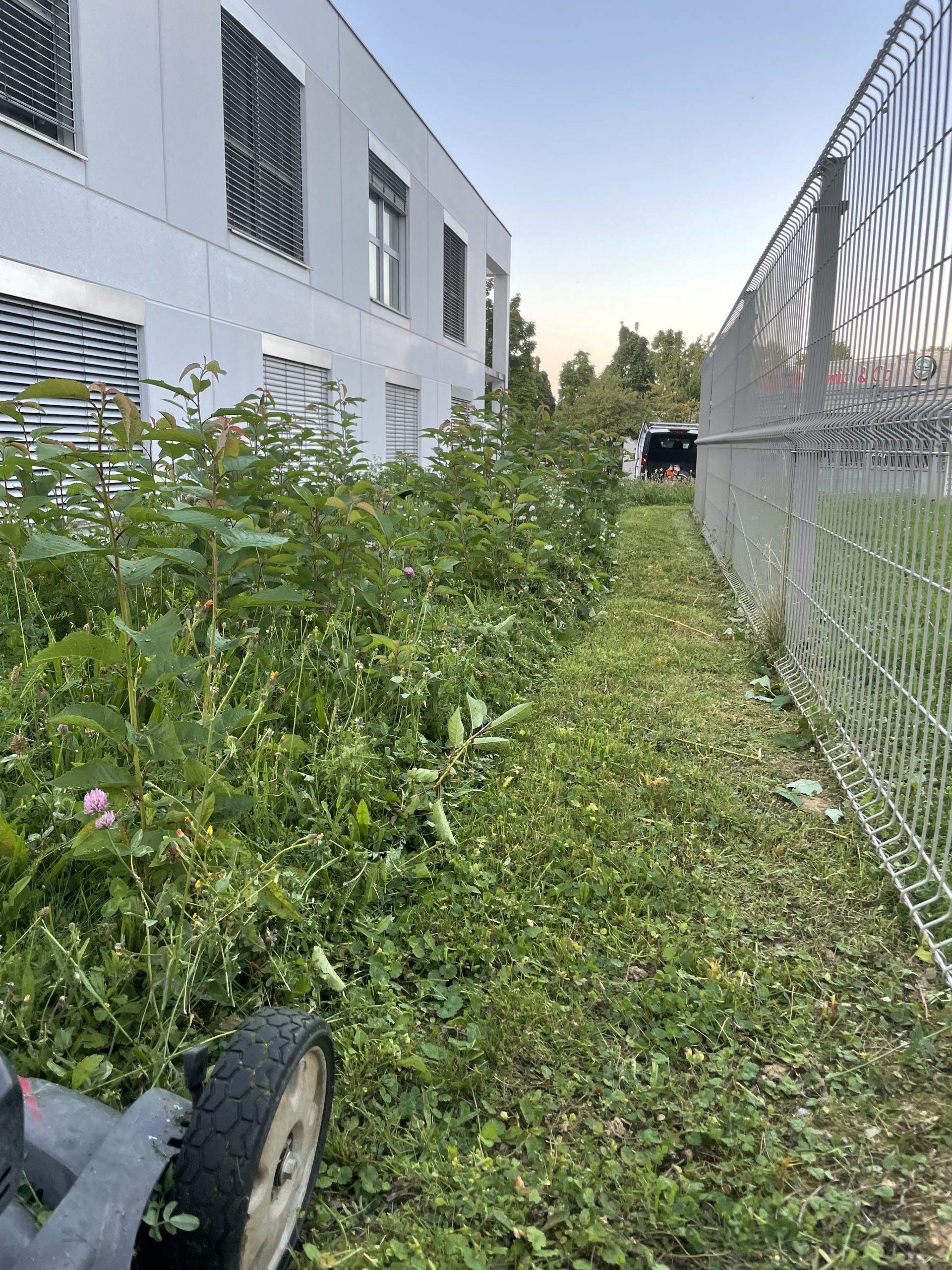 Grosse tonte et nettoyage après un delaissement de site à Mulhouse dans le Haut-Rhin