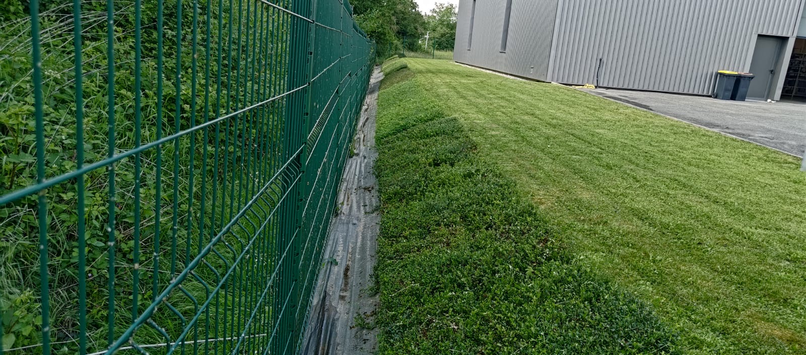 Taille de maintien prévue dans le contrat annuel à Bantzenheim près de Mulhouse