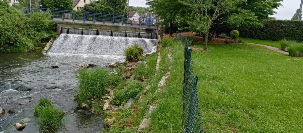 Débroussaillage de berges pour maintenir une végétation gérable à Zillisheim près de Brunstatt-Didenheim