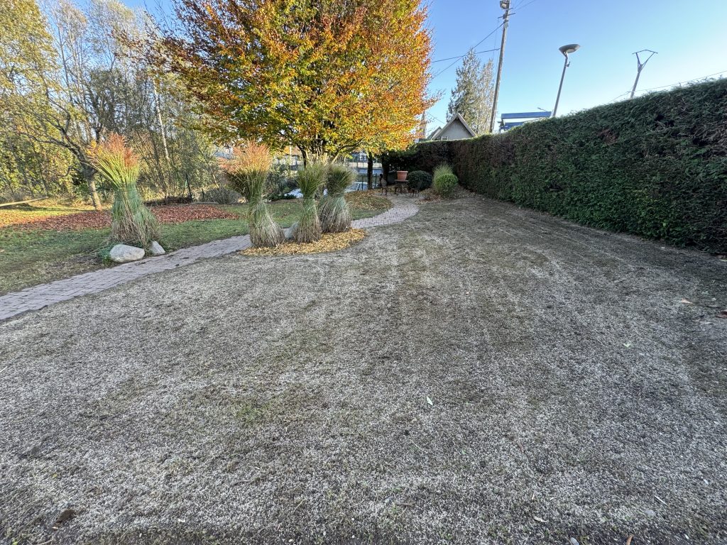 Scarification d’un vieux gazon pour faire peau neuve à Zillisheim dans le Haut-Rhin
