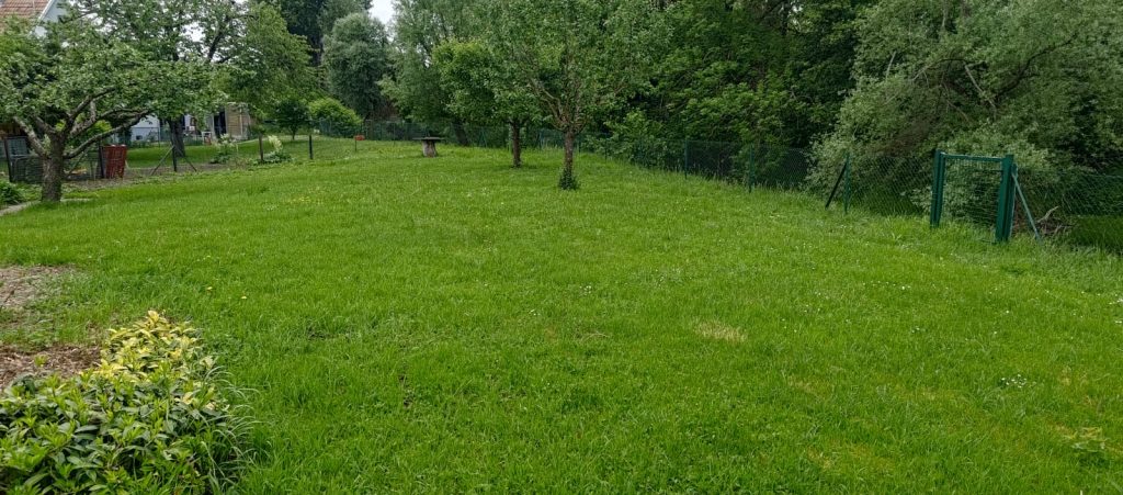 Tonte récurante comprise dans un contrat annuel a Zillisheim dans le 68