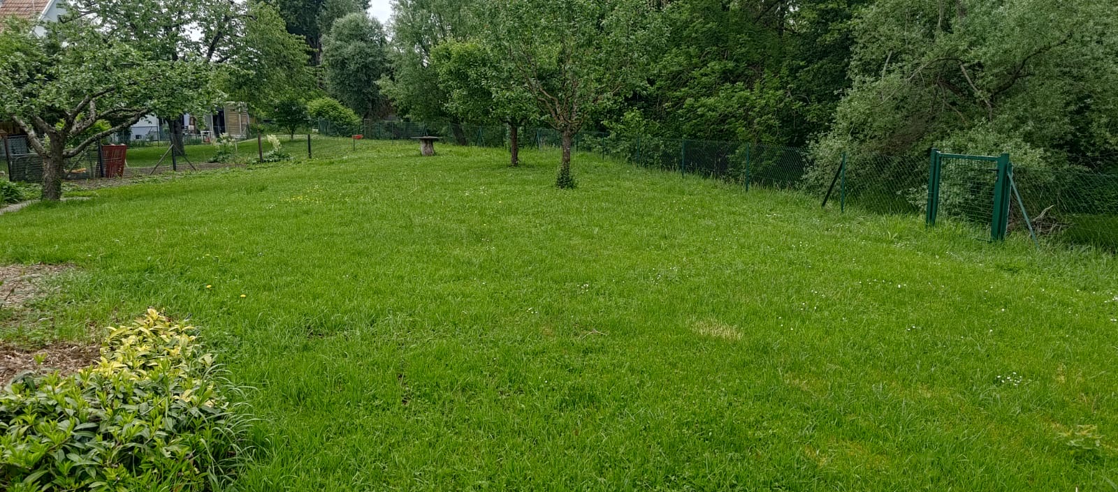 Tonte récurante comprise dans un contrat annuel a Zillisheim dans le 68