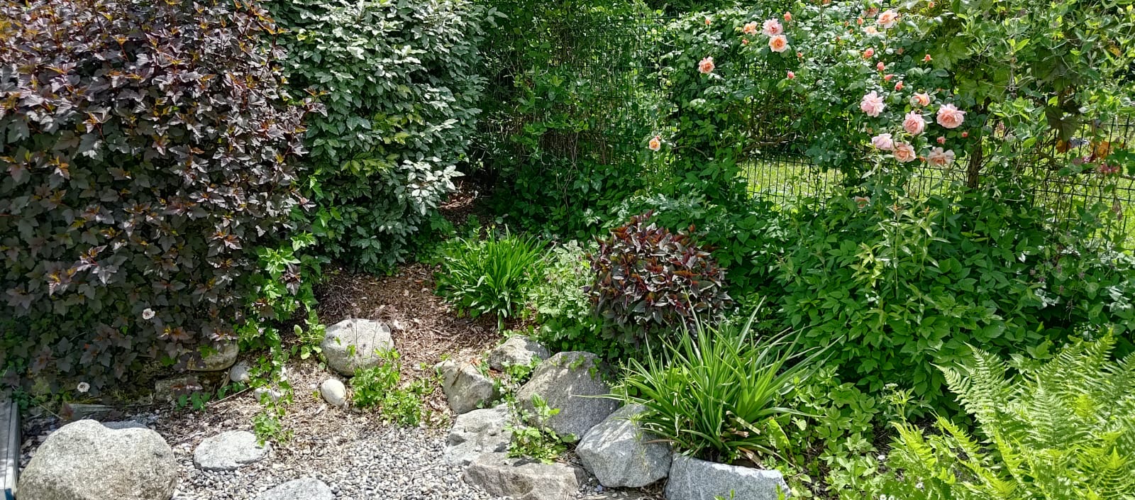 Désherbage, taille et nettoyage de massif pour de beau massifs sur Zillisheim près de Mulhouse
