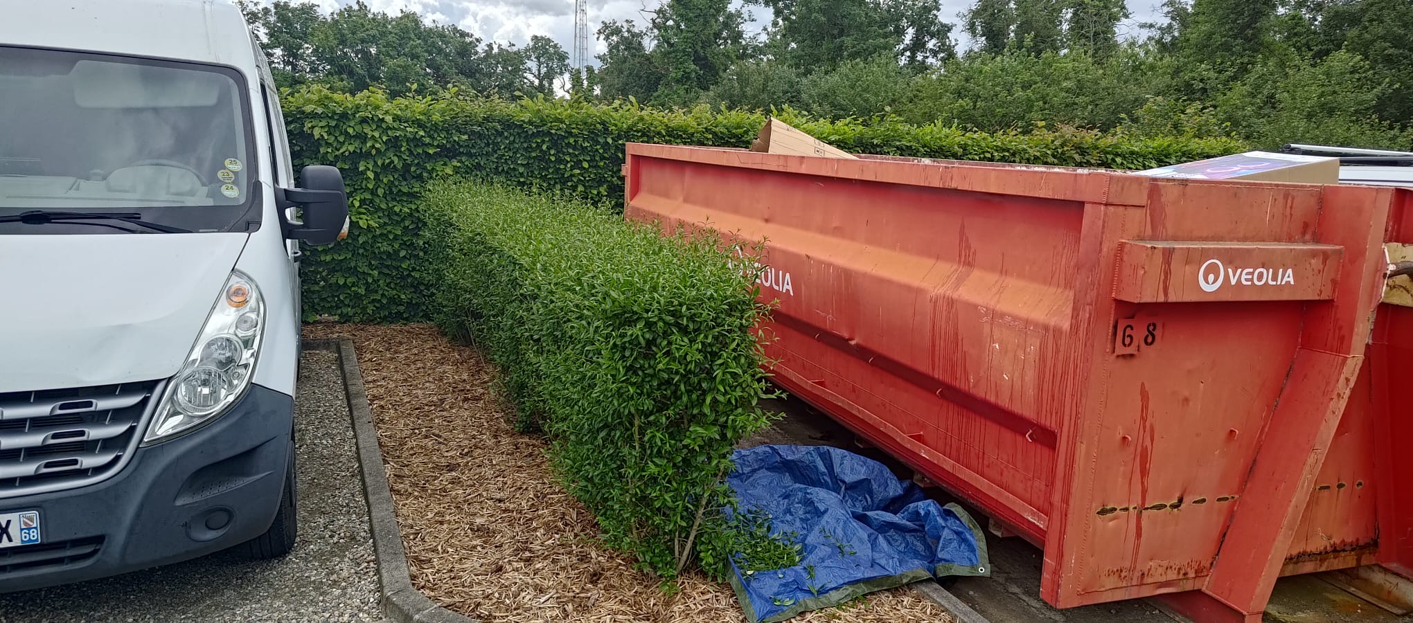 Taille de haie à Bantzenheim près de Mulhouse