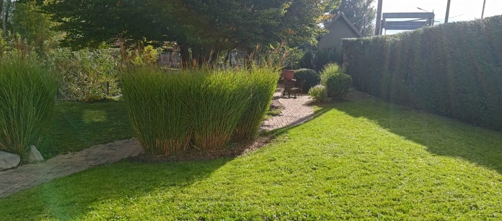 Jardinier à Mulhouse dans le Haut-Rhin : un professionnel de confiance à votre service