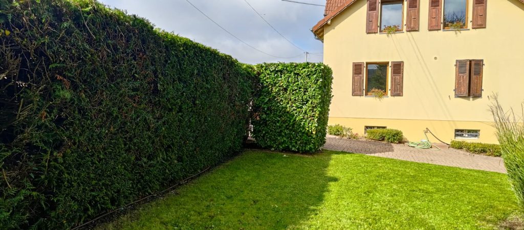 Entretien de jardin à Cernay dans le Haut-Rhin : prenez soin de vos espaces dans la vallée de Thann