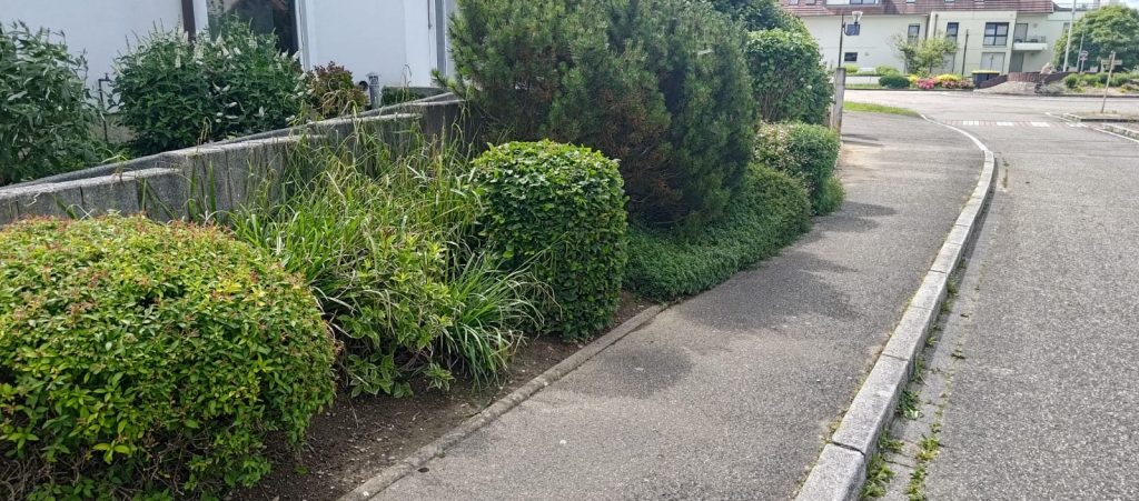Jardinier à Guebwiller dans le Haut-Rhin : votre spécialiste local dans le Florival