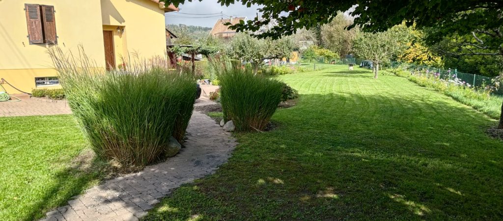 Taille avant l’hiver en complément du contrat d’entretien à Rixheim sans le Haut-Rhin