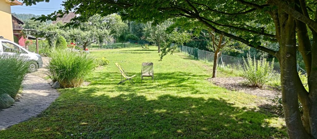 Paysagiste à Saint-Louis dans le Haut-Rhin : entretien d’extérieur sur mesure